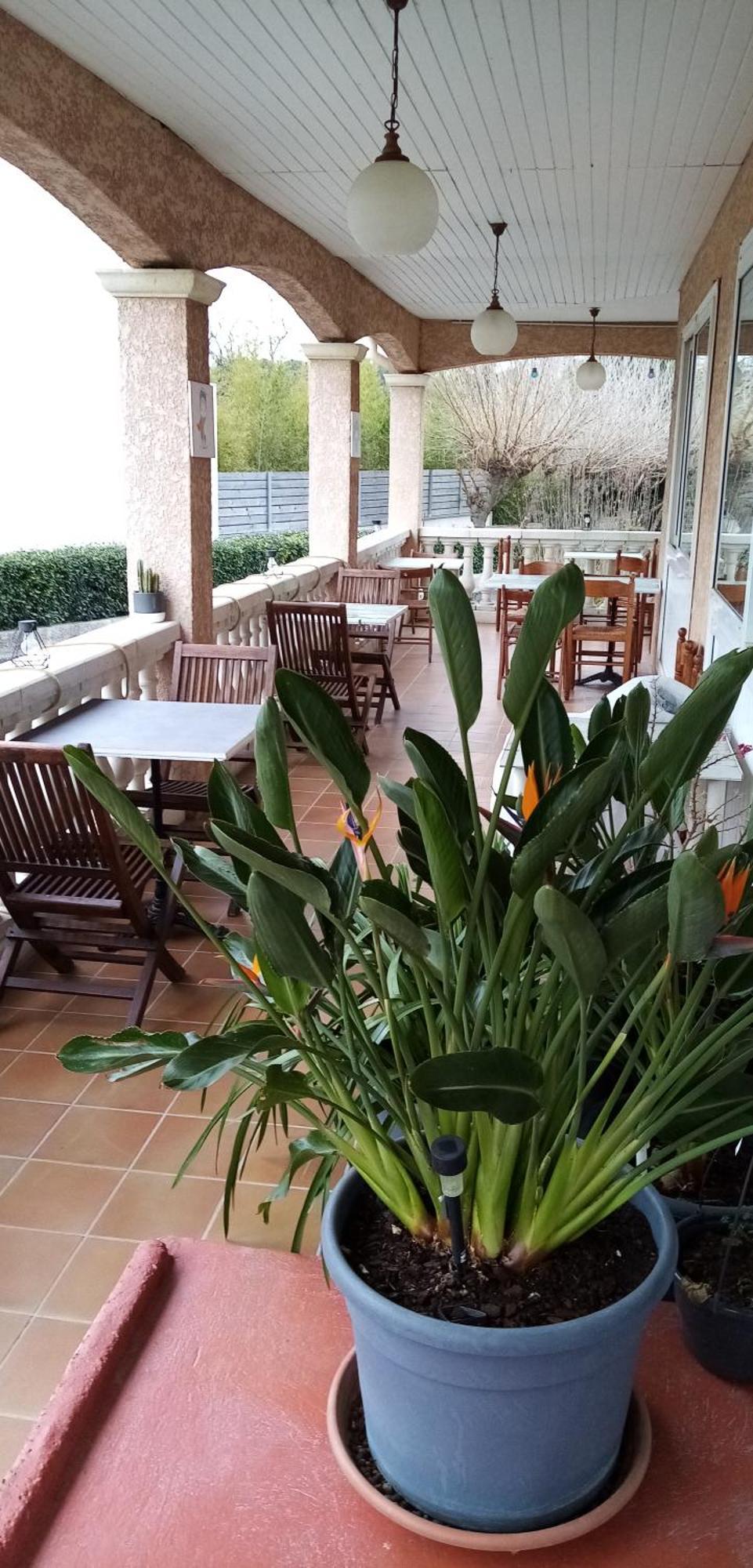 Le Grand Jardin Hotel Aujargues Exterior photo